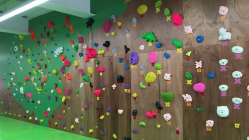 鹿児島県のクライミング施設「メテオスーパードーム」